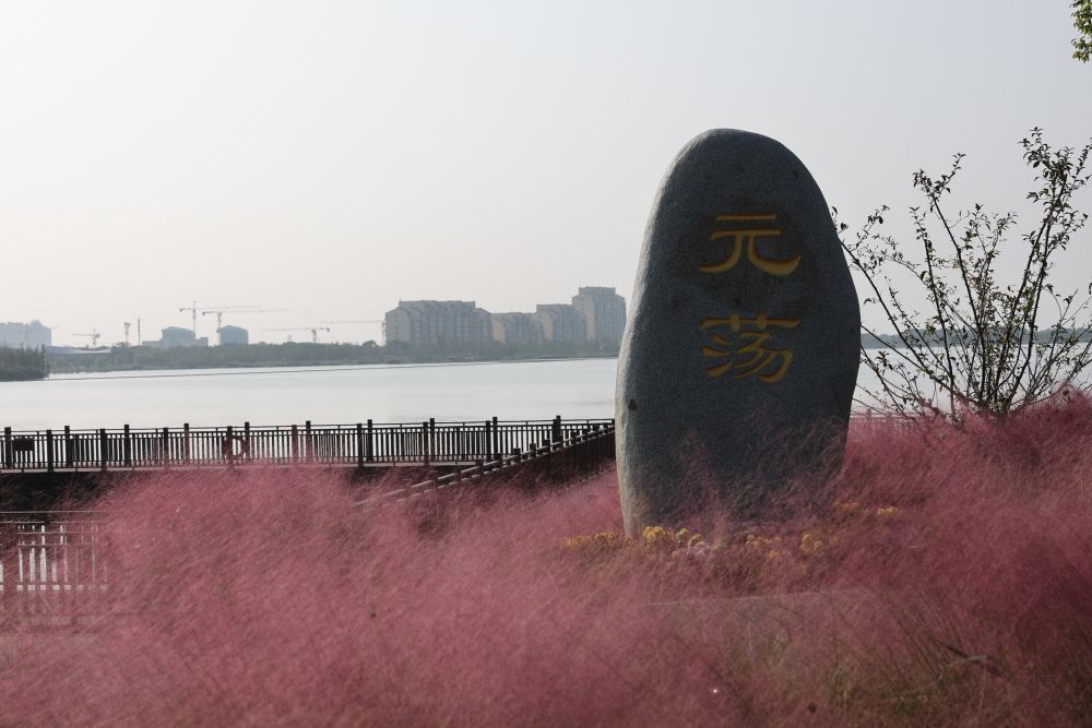 图为横跨上海和江苏的湖泊元荡。新华社记者王翔 摄