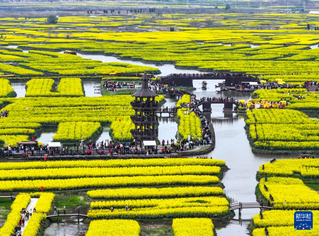 新华社发(顾继红摄)4月4日,游客在江苏兴化千垛菜花景区乘船游览.