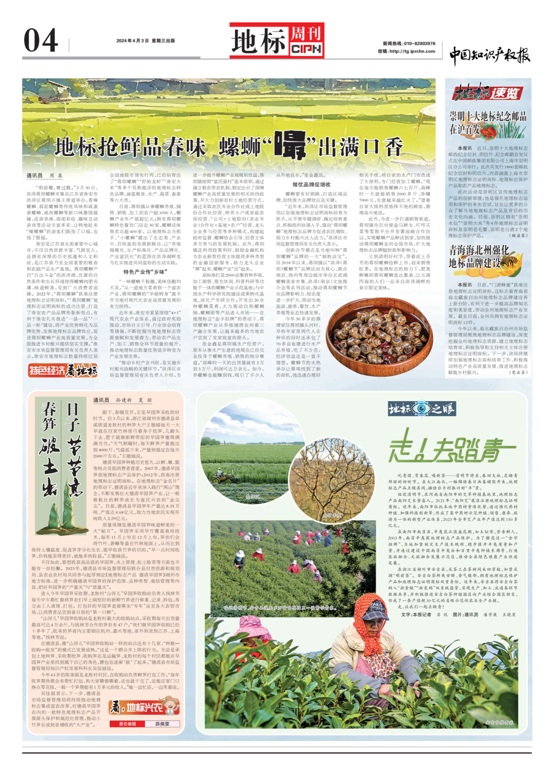 看江苏淮安小螺蛳撑起大产业_新浪财经_新浪网