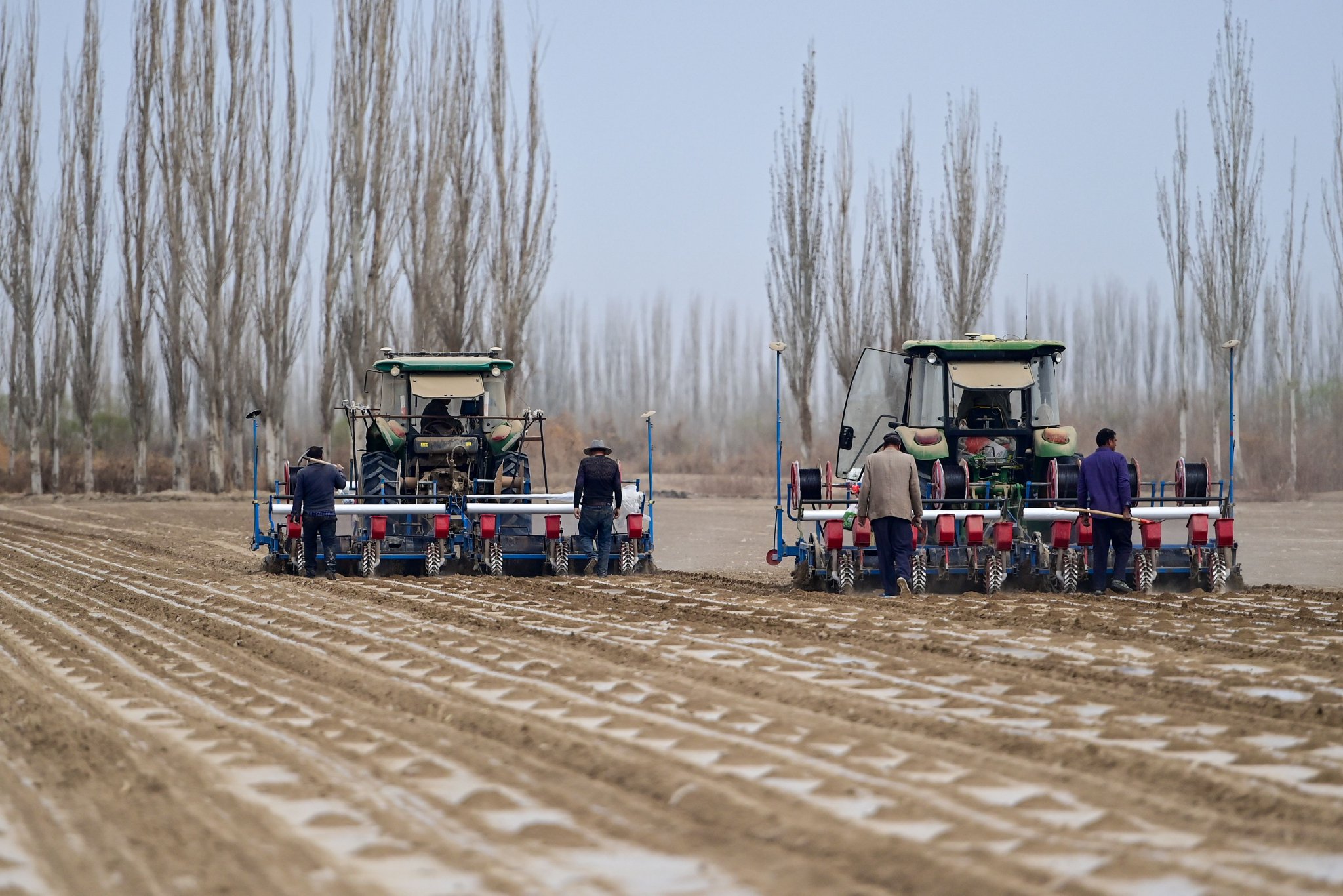 搭载导航自动驾驶系统的精量播种机在棉田春播