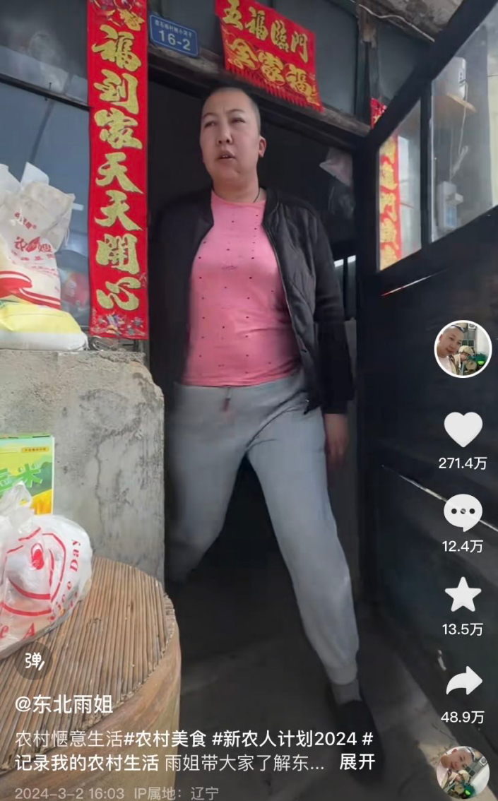 东北雨姐,李子柒的"另一面"|李子柒_新浪财经_新浪网