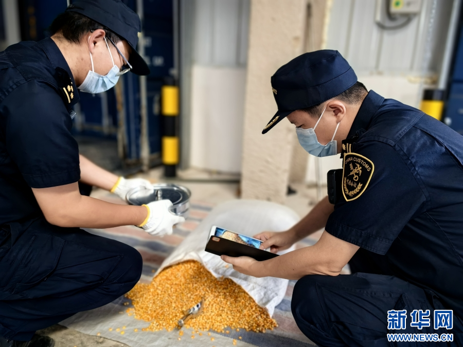 海关工作人员正在对入场货物进行查验(资料图).