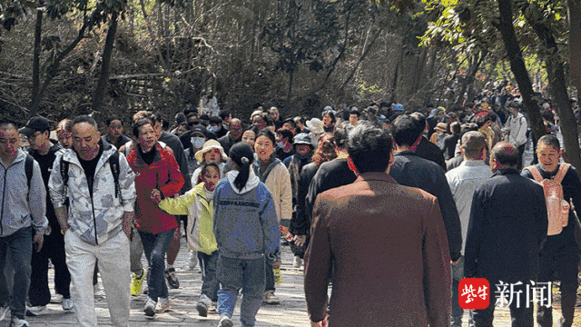 镇江清明假期再度爆棚出圈|镇江市_新浪财经_新浪网