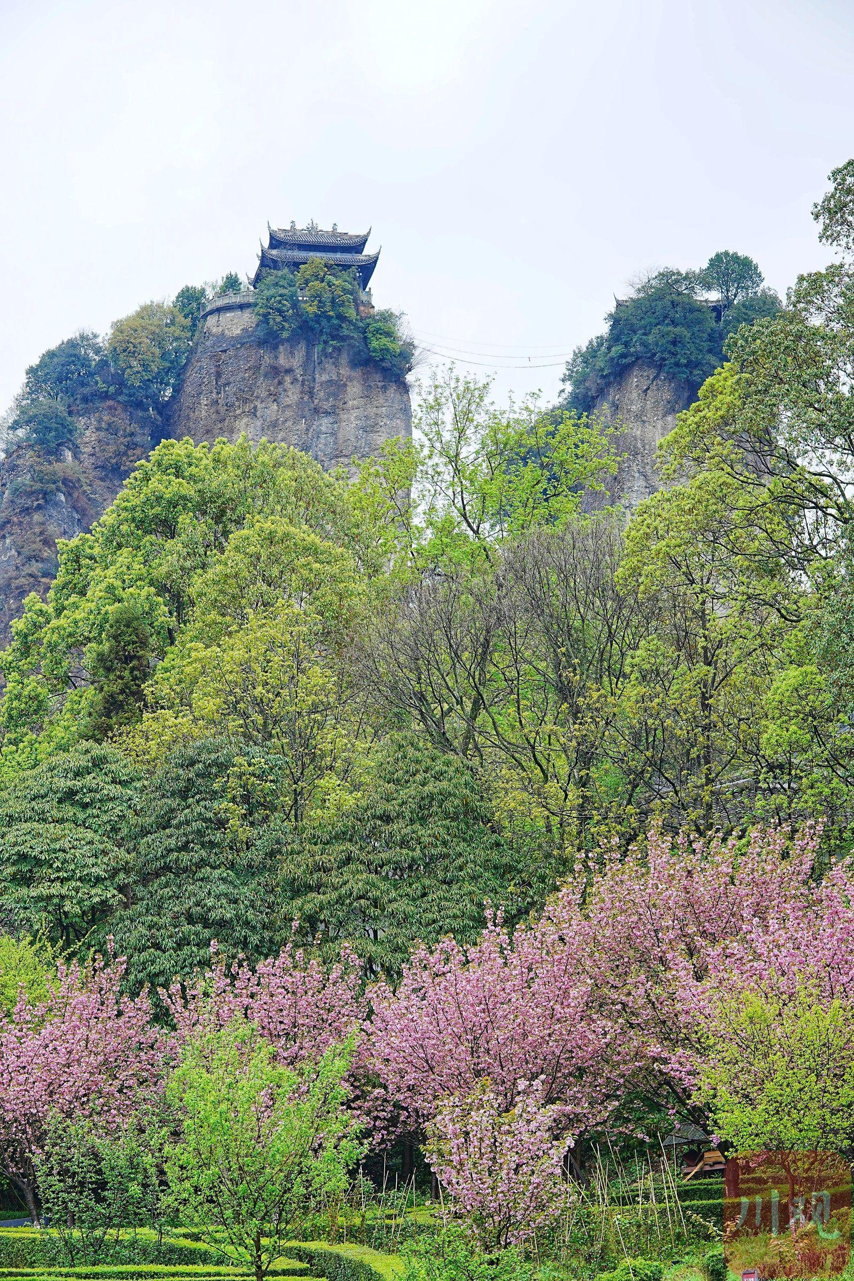 4月5日,清明假期踏青登高,不少游客雨中登上江油市窦圌山,与山中的