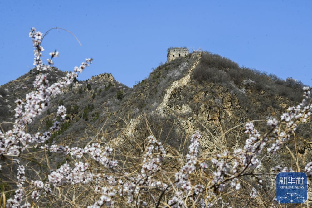 4月3日在河北省承德市兴隆县六道河镇拍摄的长城春景.