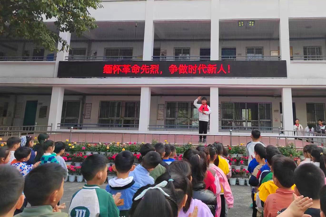 安州区桑枣镇小学开展清明祭英烈系列主题活动|清明_新浪财经_新浪网