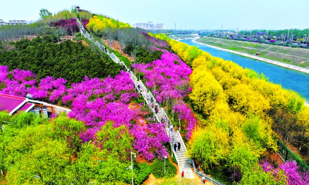 春风吹暖"花经济" 激发文旅新活力 ——石家庄市清
