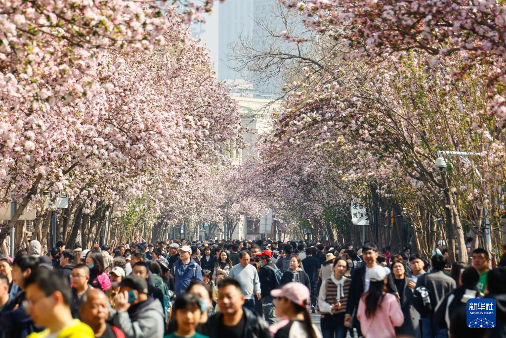 清明假期呈现多个出游新热点你参与了哪些