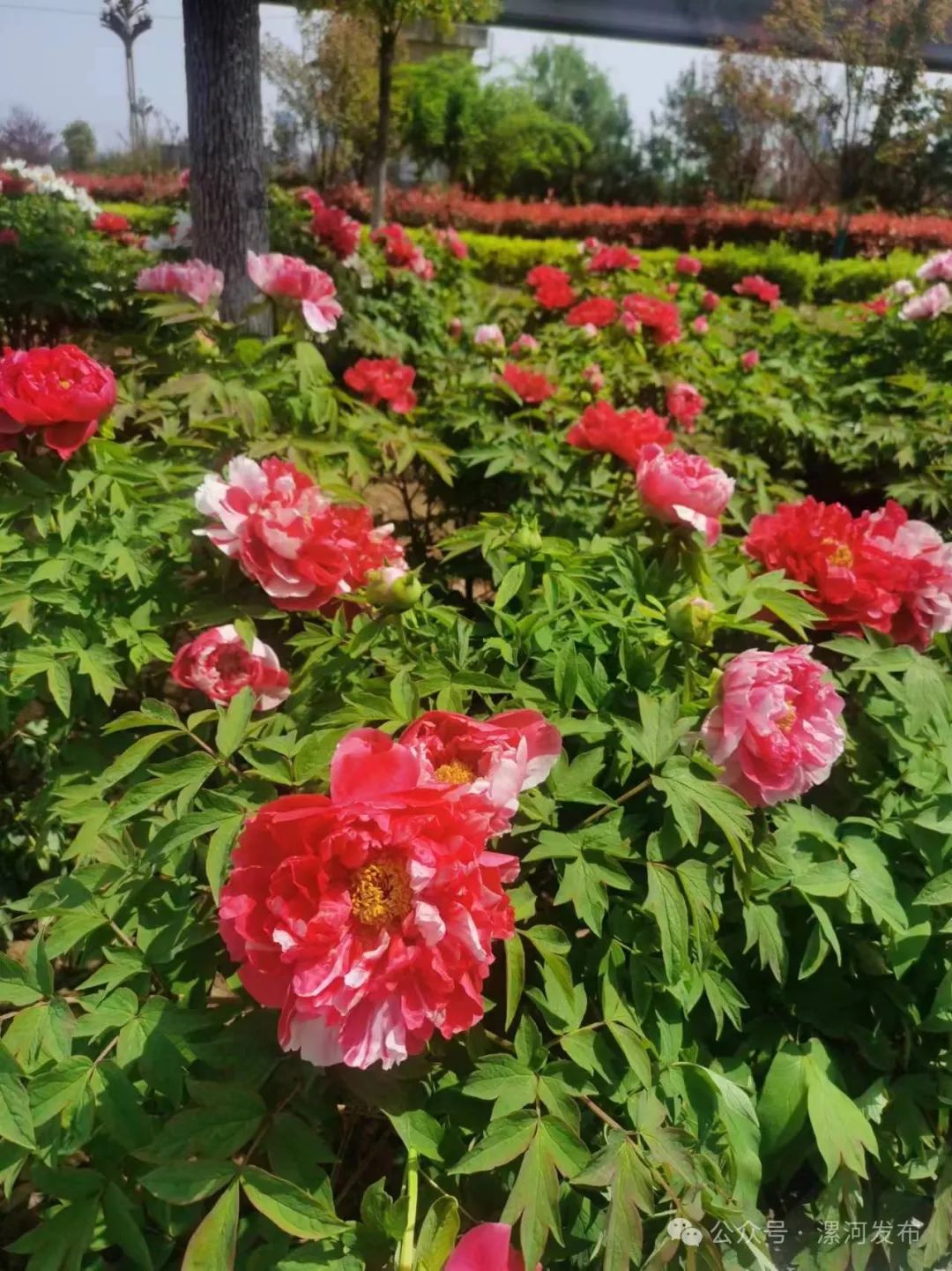 漯河市_新浪财经_新浪网