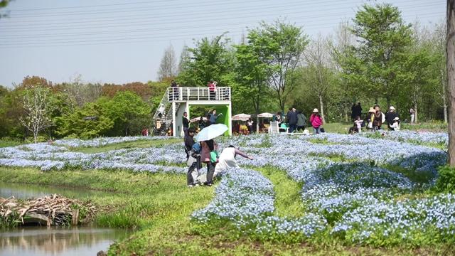 踏青郊游,既要快乐也要文明_新浪财经_新浪网