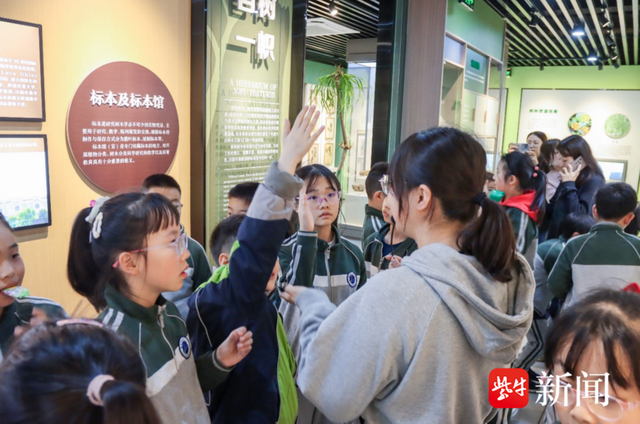 教室在窗外,力学小学走进南林大开展研学活动|标本馆_新浪财经_新浪网