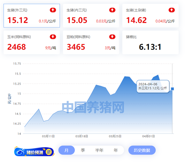 04月06日猪评:行情回温!猪价止跌上涨,二育热度再起?