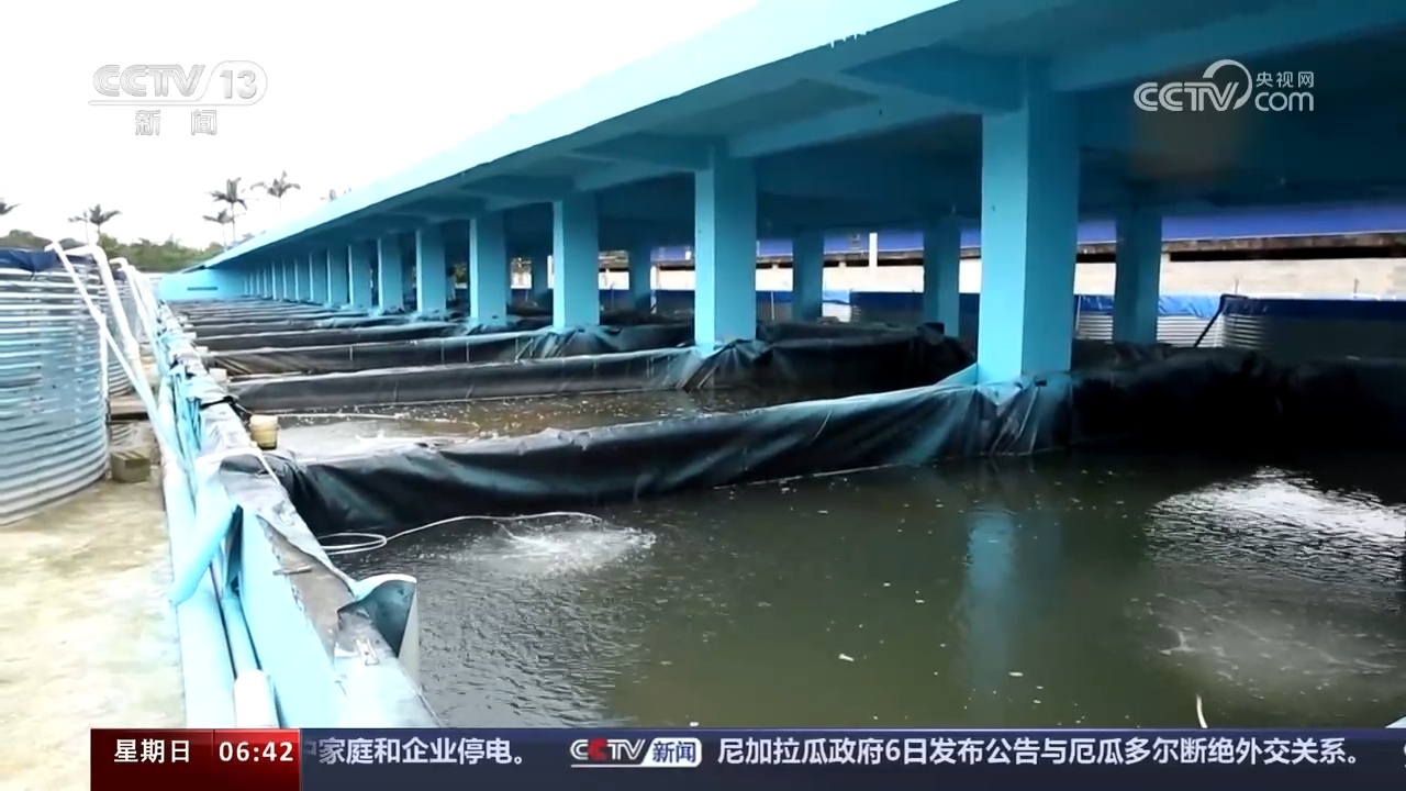 多地探索特色养殖新模式 助力养殖户增收致富|广西_新浪财经_新浪网