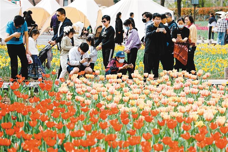 一朵花背后的经济密码|张星月_新浪财经_新浪网