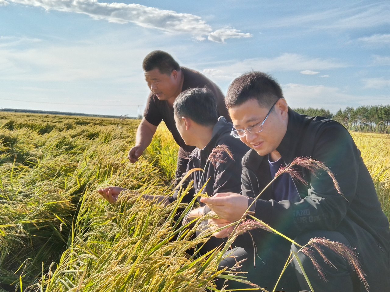 《计划》发布 事关黑龙江农民科学素质提升|农民_新浪财经_新浪网