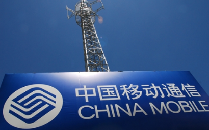 袁某某开车行驶至辽宁鞍山市某荒地附近的中国移动通信铁塔基站下面