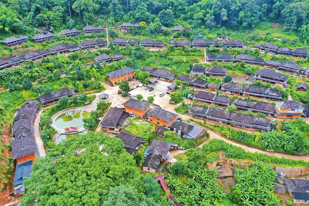 甘蔗收完了,茶叶开采了,柠檬结果了……连日来,普洱市澜沧拉祜族自治