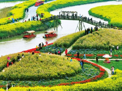 19亿人次出游!清明假期"不负春光"|洛阳市_新浪财经_新浪网