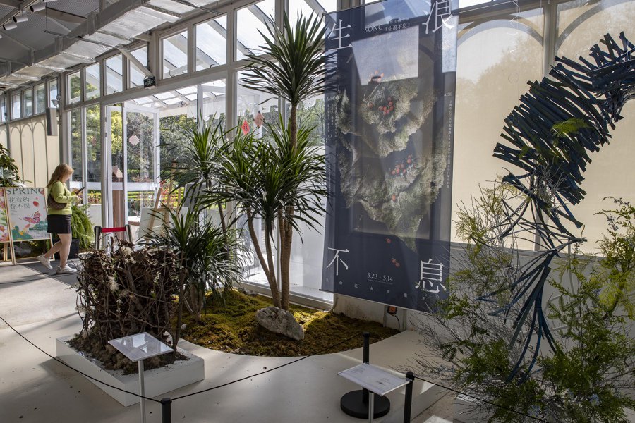 中山公园市民园艺中心展览 &nbsp;赖鑫琳 &nbsp;摄