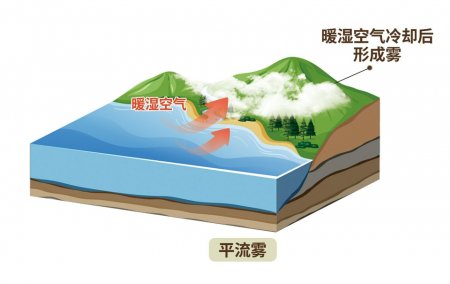 云端的城市"燃烧"的雪山 平流雾中"科幻的成都"|成都市_新浪财经_新浪