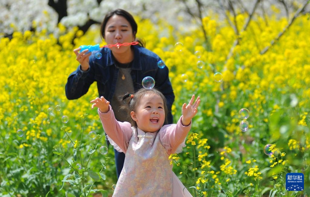 在山东省滕州市柴胡店镇刘村梨园,家长陪着孩子在油菜花田里吹泡泡