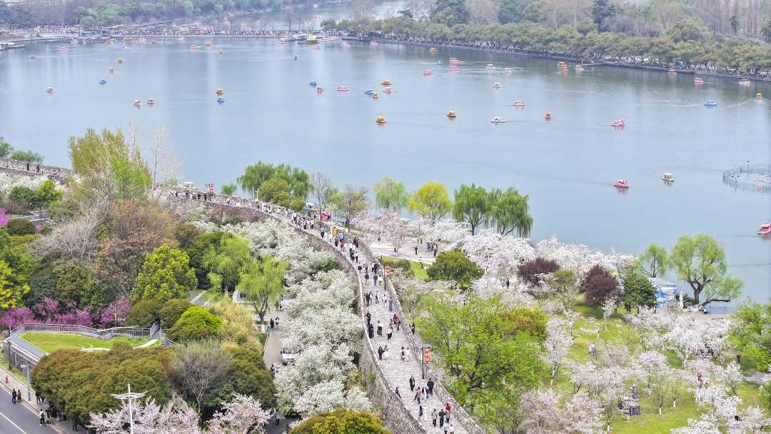 游人在南京玄武湖公园内赏花游玩(无人机照片).