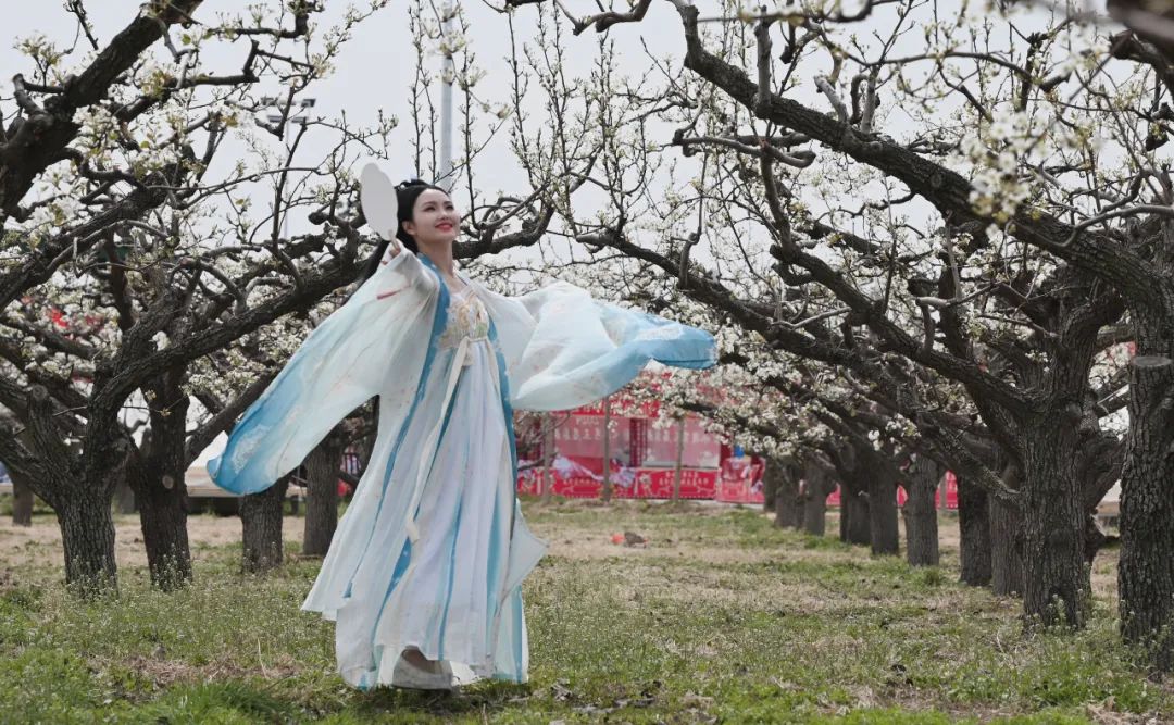 河北日报记者曹铮摄眼下,雄安新区雄县雄州镇马蹄湾村及附近村庄万亩