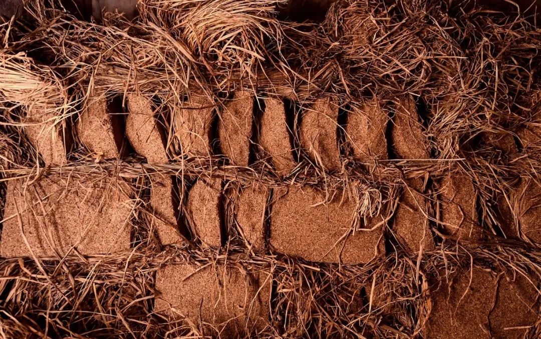 图源/贵州茅台茅台把曲块在曲仓内经过40天发酵和两次翻曲后拆除的