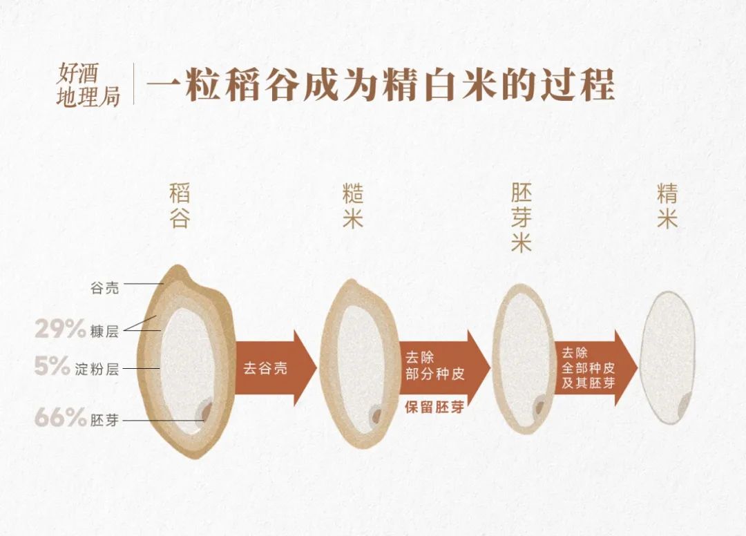 与高粱,小麦三分天下,它是酒粮界的隐形大佬__财经头条