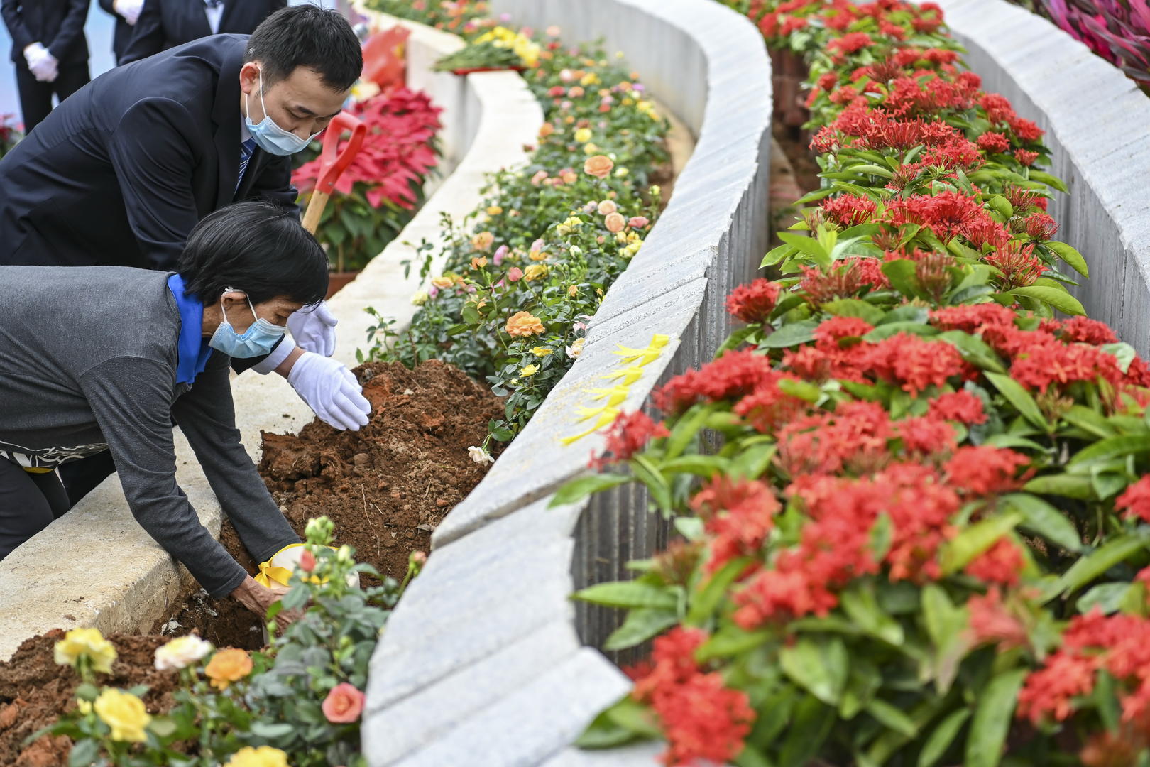 将骨灰撒向海里埋在树下,生态葬受到越来越多市民认可&nbsp;据视觉