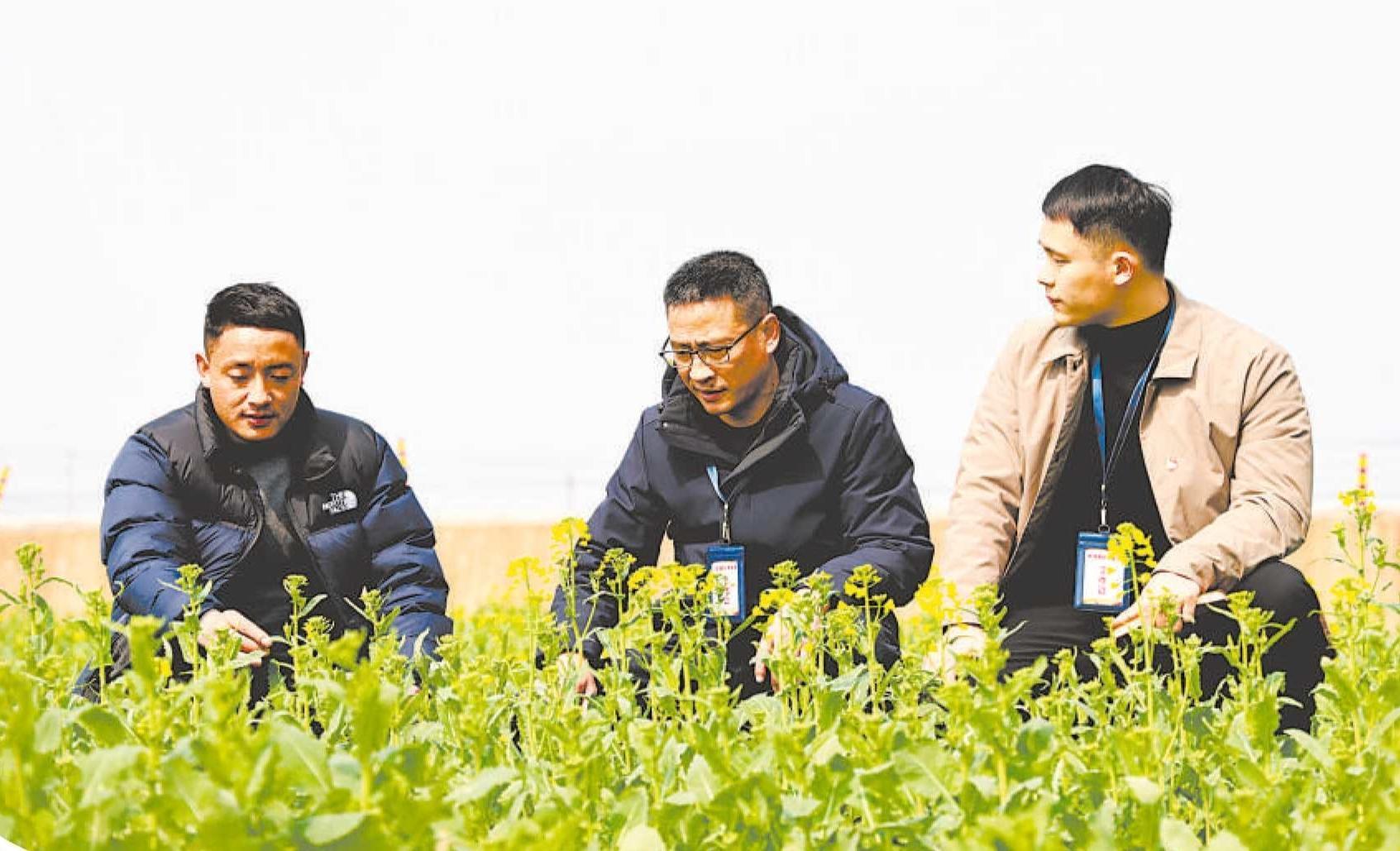 监督护春耕 不误农时不负春_新浪财经_新浪网