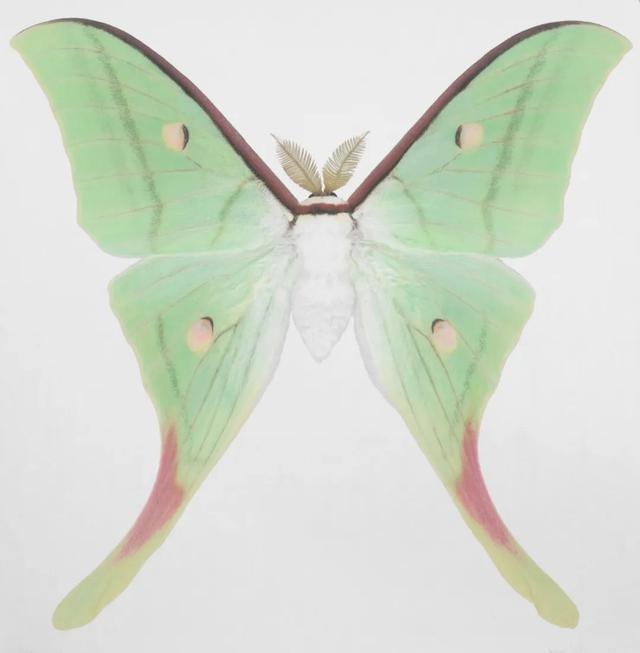 版画丝路总策展人卢治平版画从中国出发沿着丝路传向世界