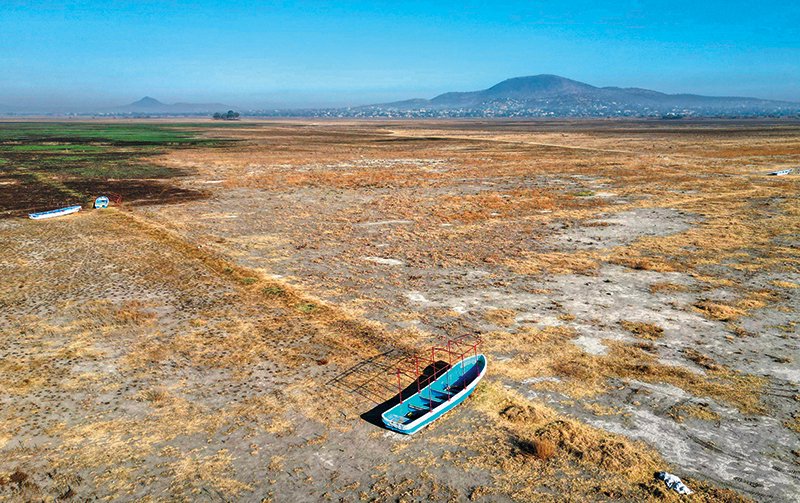 谁来为墨西哥"解渴"