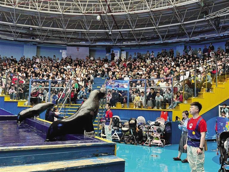 全省旅游景区接待游客610万人次 实现收入32亿元|张掖
