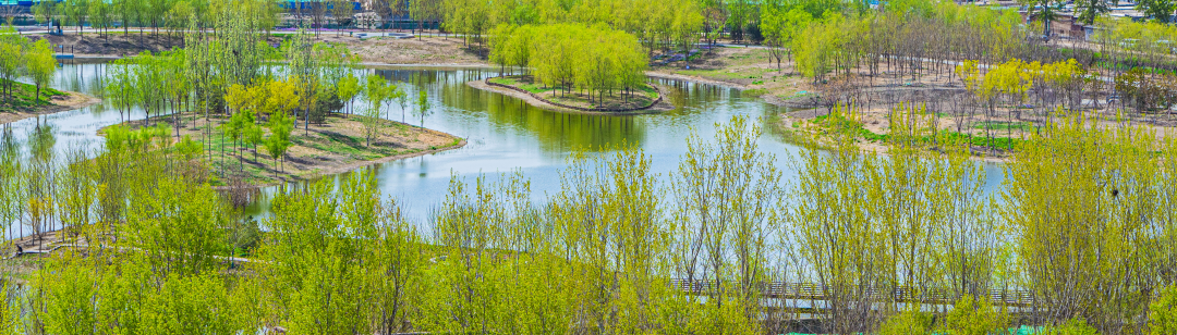 北京丰台:南苑森林湿地公园今年完成生物多样性示范区建设|北京市