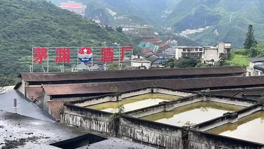 王茅_新浪财经_新浪网