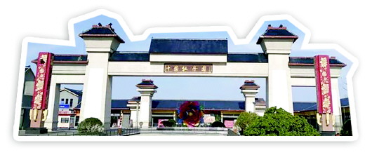 菏泽牡丹我想开了