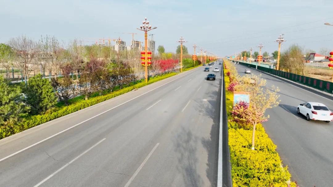 花城定州61迎宾大道一路都有鲜花相伴无论你是开车,骑车还是步行令