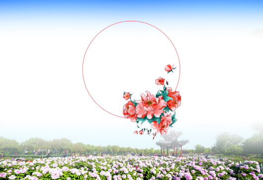 菏泽牡丹我想开了