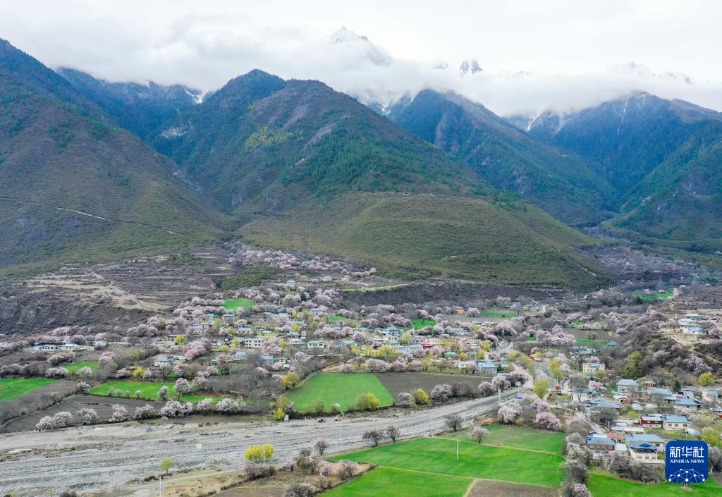 图为4月2日拍摄的林芝市波密县倾多镇.新华社记者丁汀摄