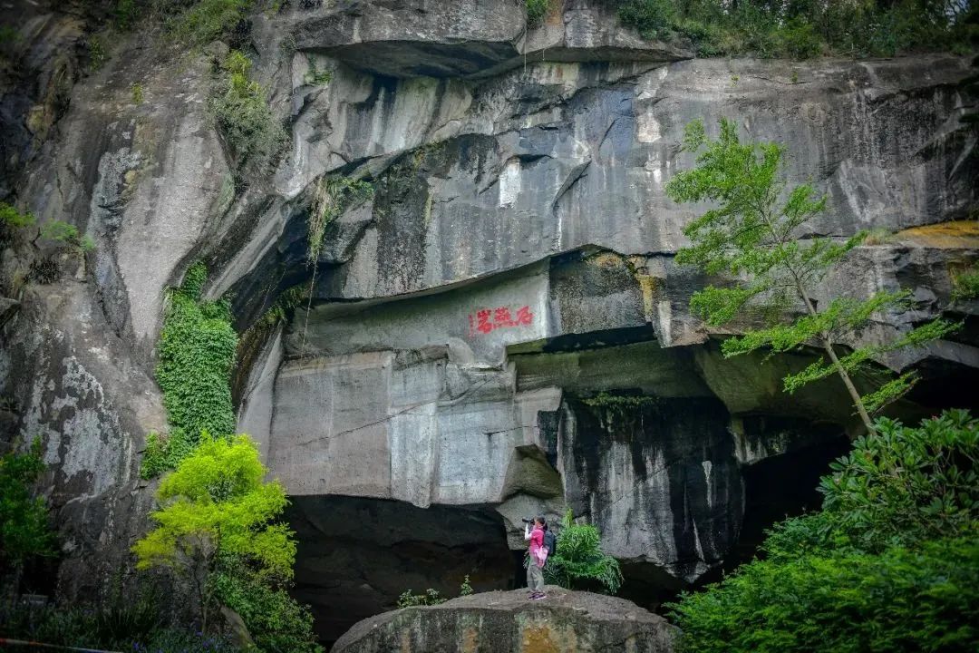 一方制药,纳德利龙舟基地,贤鲁岛,康园,仙岗村,广东千古情,西樵山