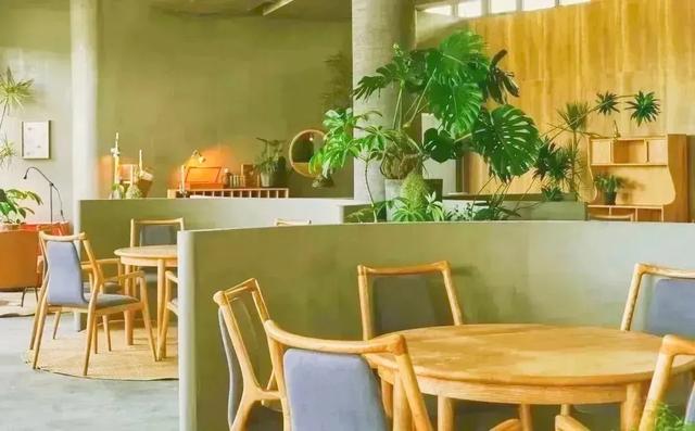 来桃浦,走进中心城区最大的"城市绿洲"_新浪财经_新浪网