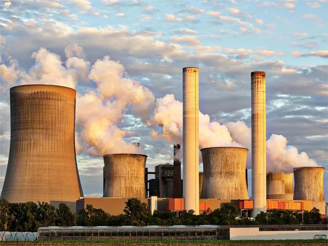 （图片来自网络）