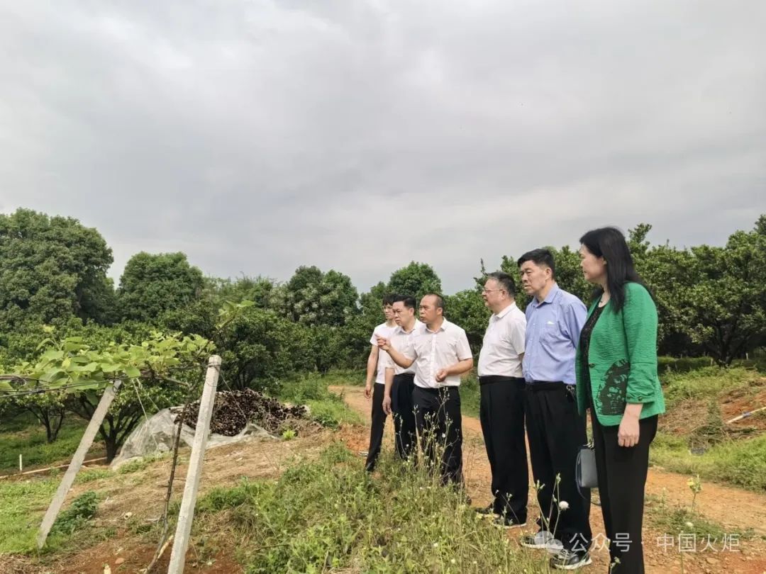 茂名市4月3日下午,电白区林头镇参桥村关工委开展进校园捐赠图书活动