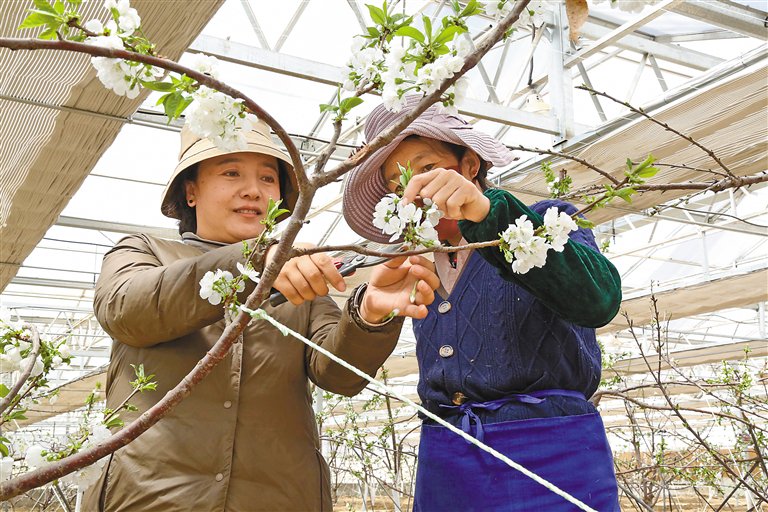 "手把手"教技能 "点对点"抓产业——尼木县培育经济高质量发展新动能