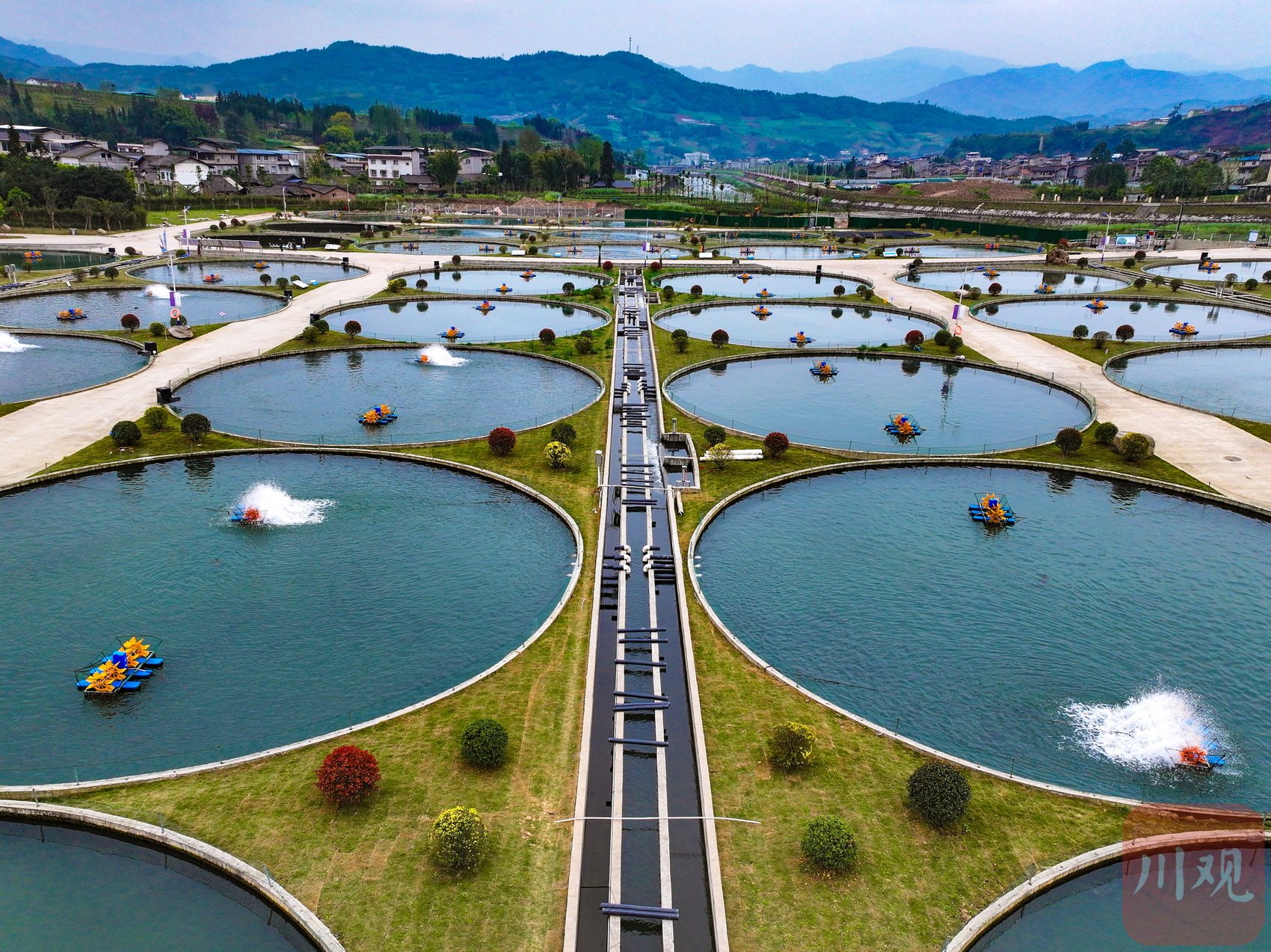 落地五宪镇的鲟鱼养殖基地 黄刚 摄杭州千岛湖鲟龙科技股份有限公司的
