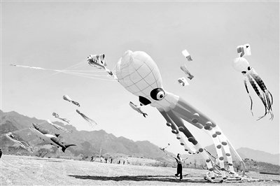 百年古梨香飘小镇 千余风筝空中竞技|梨花_新浪财经_新浪网