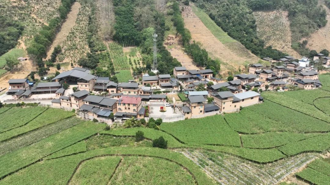 近年来,河口县结合地方资源优势和边疆地区产业转型升级,大力发展陆基