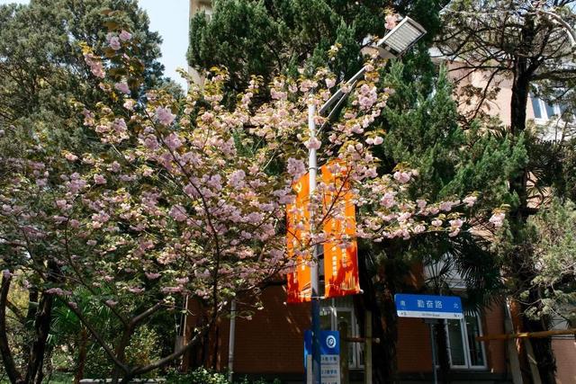 解锁书香里的惬意时|王薇_新浪财经_新浪网