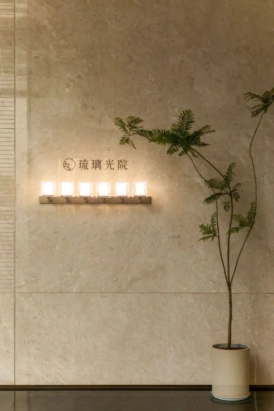 在走进小区大门之前,紫棠园就开始铺垫氛围感.